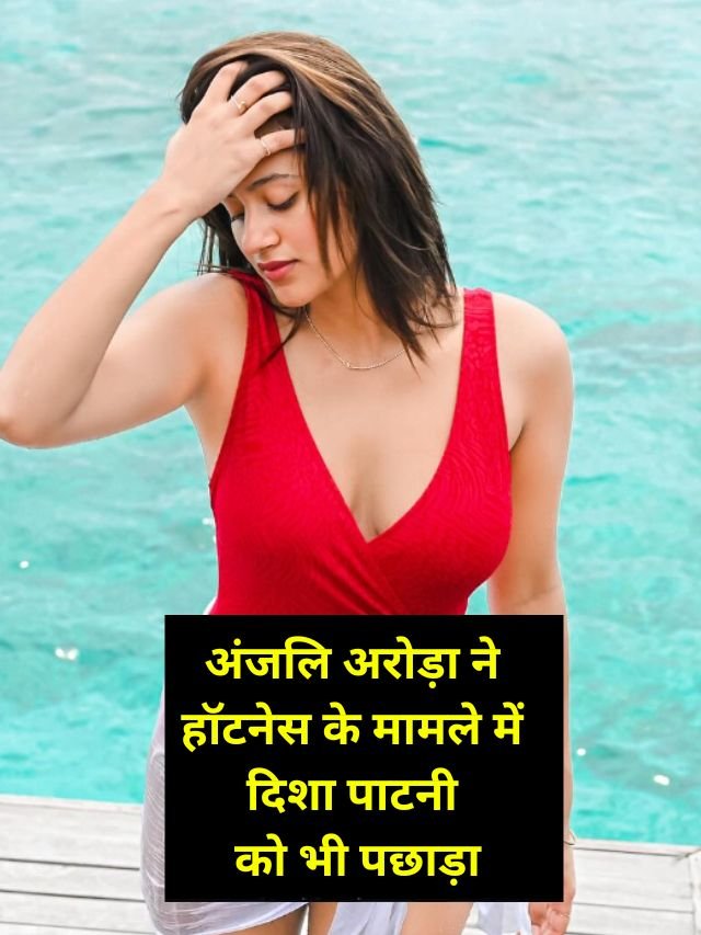 Anjali Arora Latest Pic